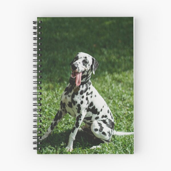 Item preview, Dalmatian Dog designed and sold by TheAnimalZ00.