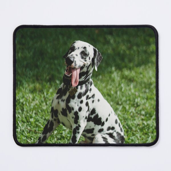 Item preview, Dalmatian Dog designed and sold by TheAnimalZ00.