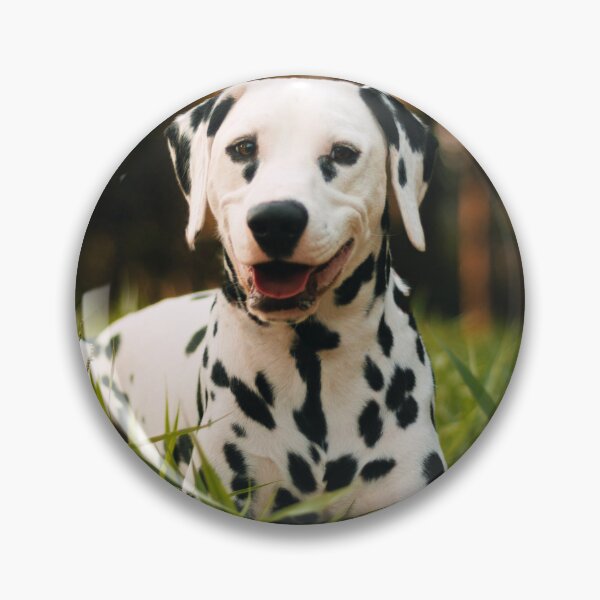 Item preview, Cute Dalmatian Puppy Photo designed and sold by TheAnimalZ00.