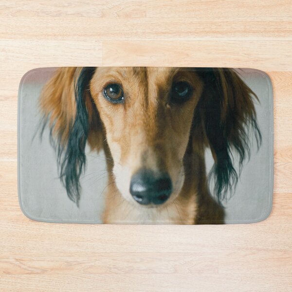 Artikelvorschau, Windhundfoto entworfen und verkauft von TheAnimalZ00.