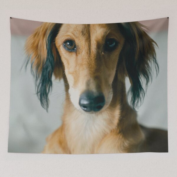 Item preview, Greyhound Photo designed and sold by TheAnimalZ00.