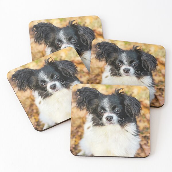 Item preview, Papillon Puppy Photo designed and sold by TheAnimalZ00.