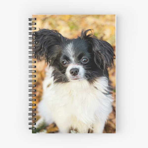 Item preview, Papillon Puppy Photo designed and sold by TheAnimalZ00.