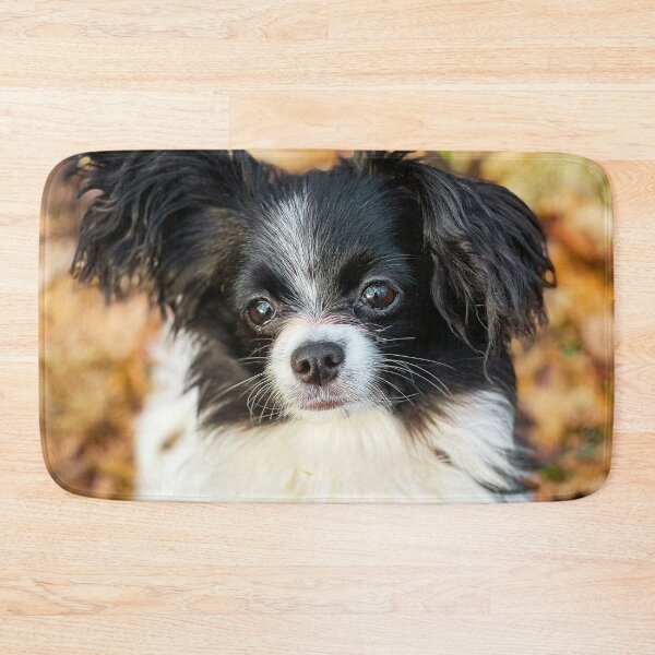 Item preview, Papillon Puppy Photo designed and sold by TheAnimalZ00.