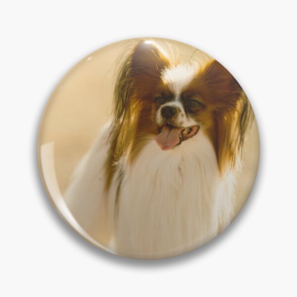 Item preview, Cute Papillon Puppy Photo designed and sold by TheAnimalZ00.