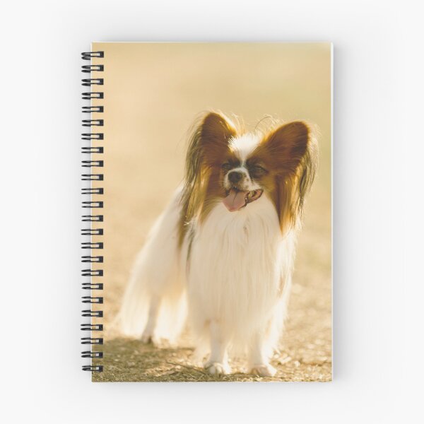 Item preview, Cute Papillon Puppy Photo designed and sold by TheAnimalZ00.