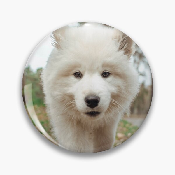 Item preview, Cute Samoyed Puppy designed and sold by TheAnimalZ00.