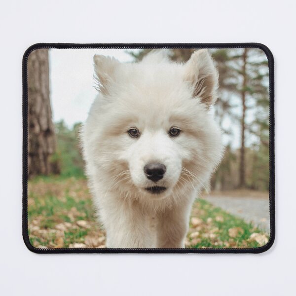 Item preview, Cute Samoyed Puppy designed and sold by TheAnimalZ00.