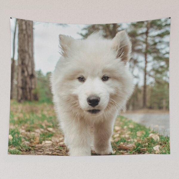 Item preview, Cute Samoyed Puppy designed and sold by TheAnimalZ00.
