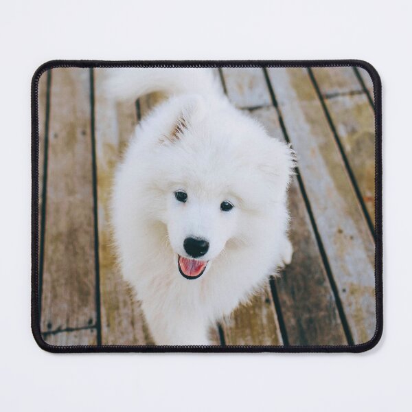 Item preview, Samoyed Puppy designed and sold by TheAnimalZ00.