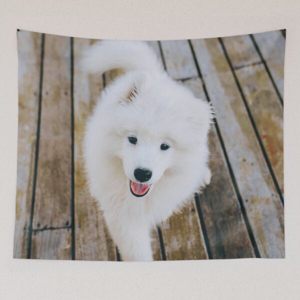 Item preview, Samoyed Puppy designed and sold by TheAnimalZ00.