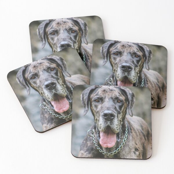 Item preview, Mastiff Dog Photo designed and sold by TheAnimalZ00.