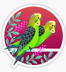 Budgerigars australiens sauvages Sticker