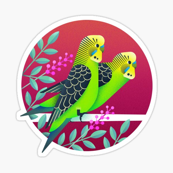 Wild Australian Budgerigars Sticker
