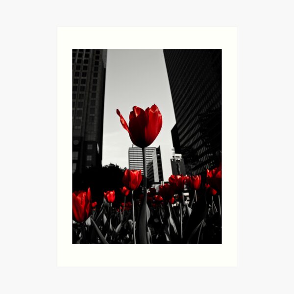 City Dwellers Art Print