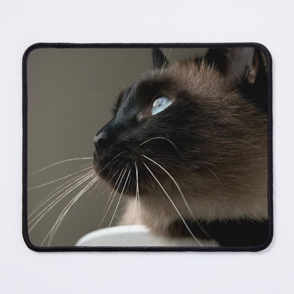 Item preview, Siamese thai cat with beautiful blue eyes designed and sold by nesgalina.