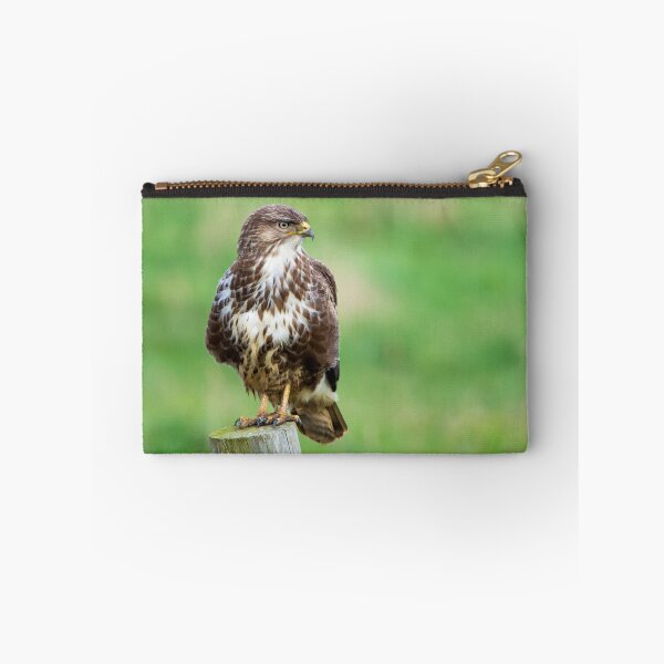 Item preview, Common Buzzard designed and sold by YussefRafik.