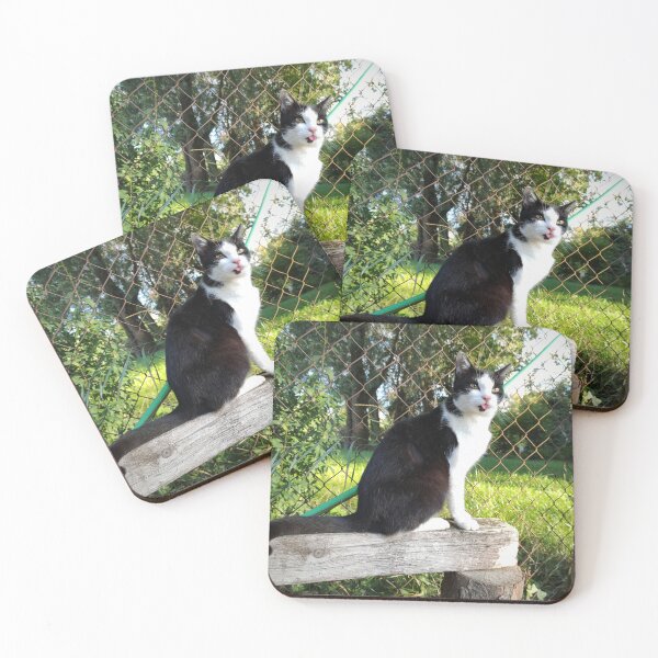 Item preview, Robbi the cat shows his tongue designed and sold by Gourmetkater.