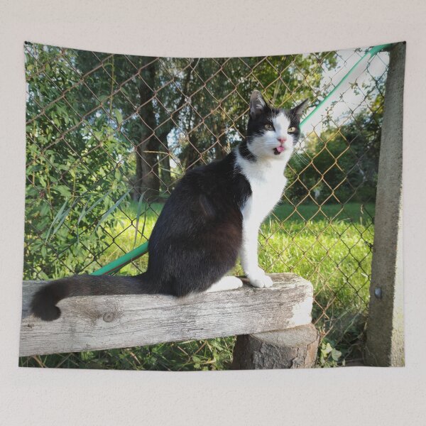 Item preview, Robbi the cat shows his tongue designed and sold by Gourmetkater.