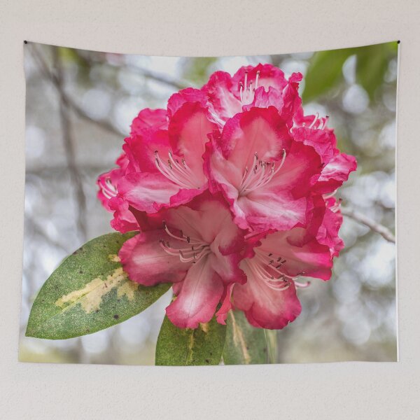 Item preview, Rhododendron designed and sold by Josette Halls.