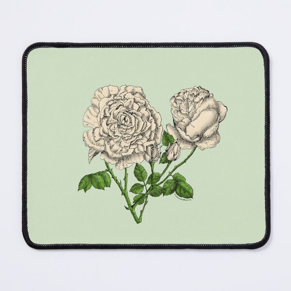Item preview, Cream Cupped Rose Bloom Very Full 40+ Petals In 3+ Rows designed and sold by Rachael Taylor.