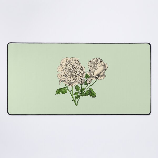 Item preview, Cream Cupped Rose Bloom Very Full 40+ Petals In 3+ Rows designed and sold by Rachael Taylor.
