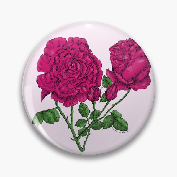 Item preview, Deep Pink Cupped Rose Bloom Very Full 40+ Petals In 3+ Rows designed and sold by Rachael Taylor.