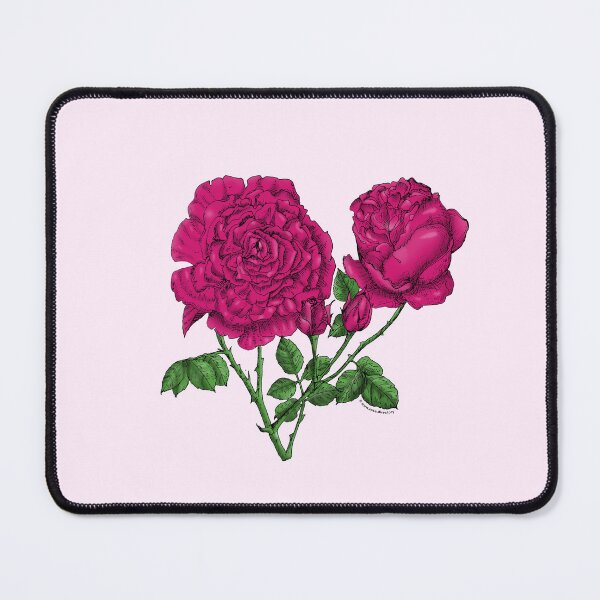 Item preview, Deep Pink Cupped Rose Bloom Very Full 40+ Petals In 3+ Rows designed and sold by Rachael Taylor.