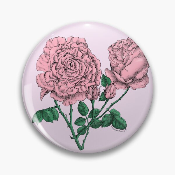 Item preview, Light Pink Cupped Rose Bloom Very Full 40+ Petals In 3+ Rows designed and sold by Rachael Taylor.