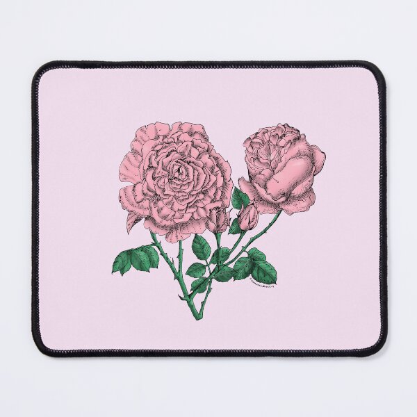 Item preview, Light Pink Cupped Rose Bloom Very Full 40+ Petals In 3+ Rows designed and sold by Rachael Taylor.