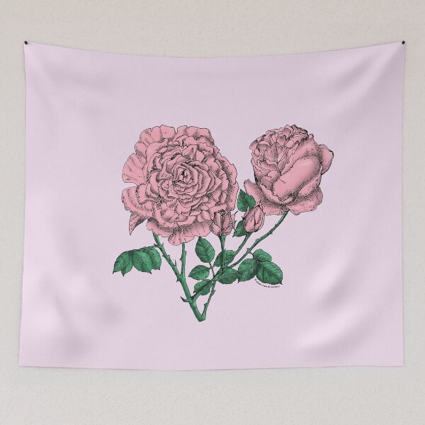 Item preview, Light Pink Cupped Rose Bloom Very Full 40+ Petals In 3+ Rows designed and sold by Rachael Taylor.