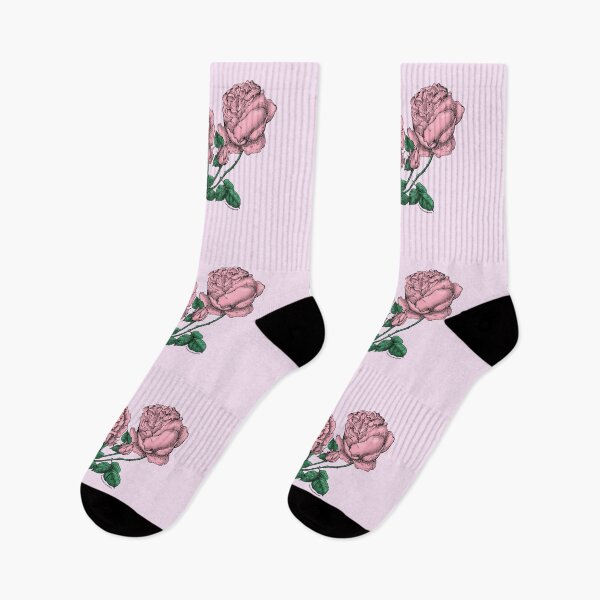 Item preview, Light Pink Cupped Rose Bloom Very Full 40+ Petals In 3+ Rows designed and sold by Rachael Taylor.