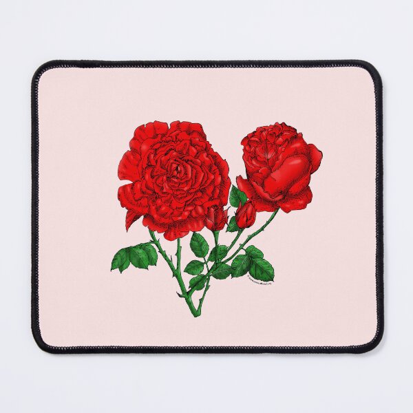 Item preview, Bright Red Cupped Rose Bloom Very Full 40+ Petals In 3+ Rows designed and sold by Rachael Taylor.