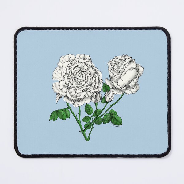 Item preview, White Cupped Rose Bloom Very Full 40+ Petals In 3+ Rows designed and sold by Rachael Taylor.