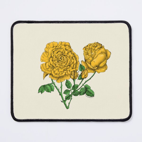 Item preview, Yellow Cupped Rose Bloom Very Full 40+ Petals In 3+ Rows designed and sold by Rachael Taylor.