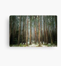 Mountain Ash Canvas Print