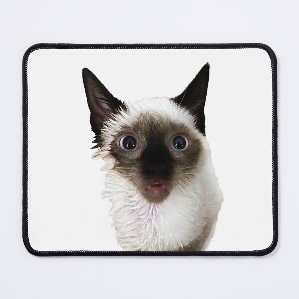 Item preview, Wet shocked cat designed and sold by nesgalina.