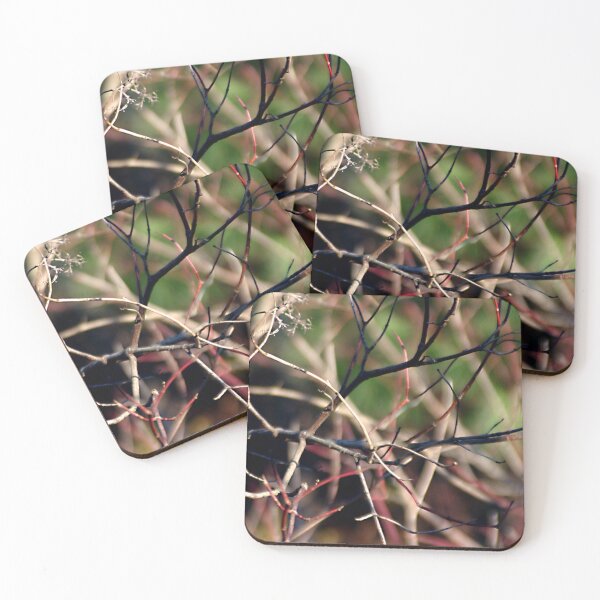 Item preview, Dogwood Dance designed and sold by Wayne King.
