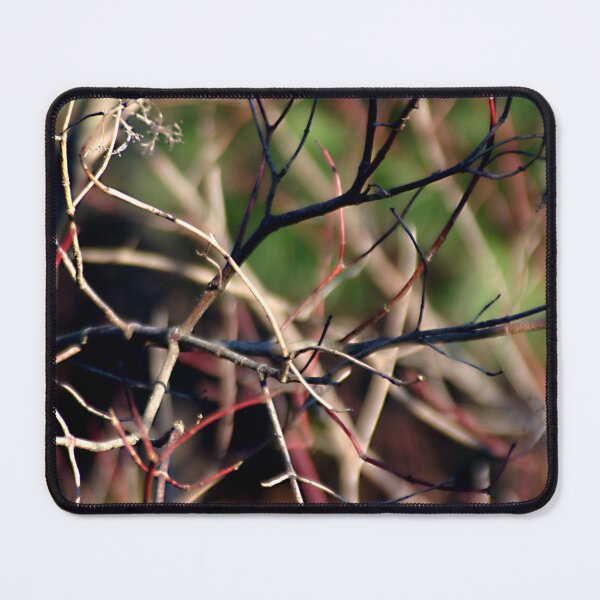 Item preview, Dogwood Dance designed and sold by Wayne King.