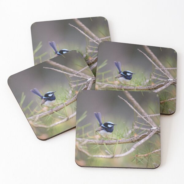 Item preview, Superb fairy wren paradise - bird designed and sold by Tara Smithson.