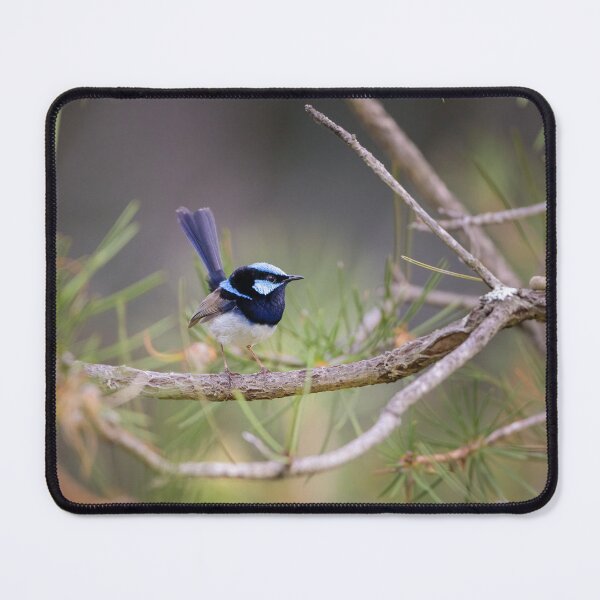 Item preview, Superb fairy wren paradise - bird designed and sold by Tara Smithson.