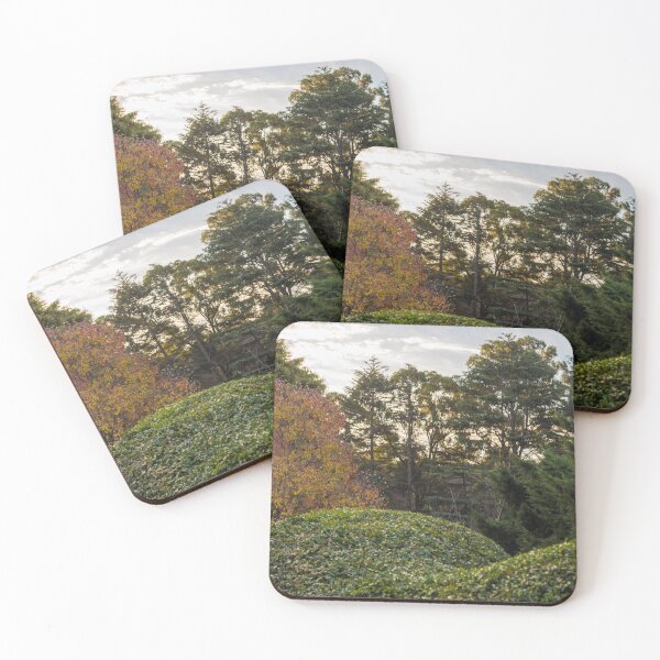 Item preview, shrubs, taller shrubs designed and sold by cactusdandy.