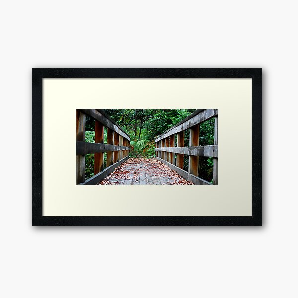 Mill Creek Walking Track NSW Framed Art Print
