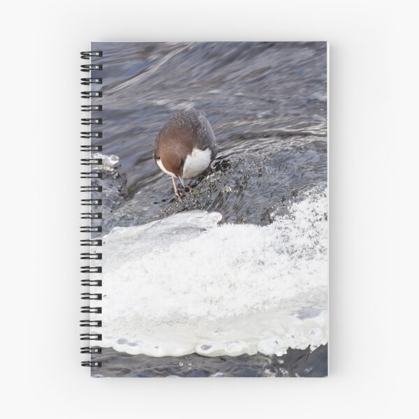 Item preview, A bit slippery. White-throated dipper designed and sold by Jouko Lehto Photography.