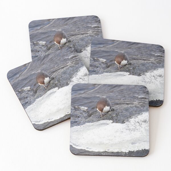 Item preview, A bit slippery. White-throated dipper designed and sold by Jouko Lehto Photography.