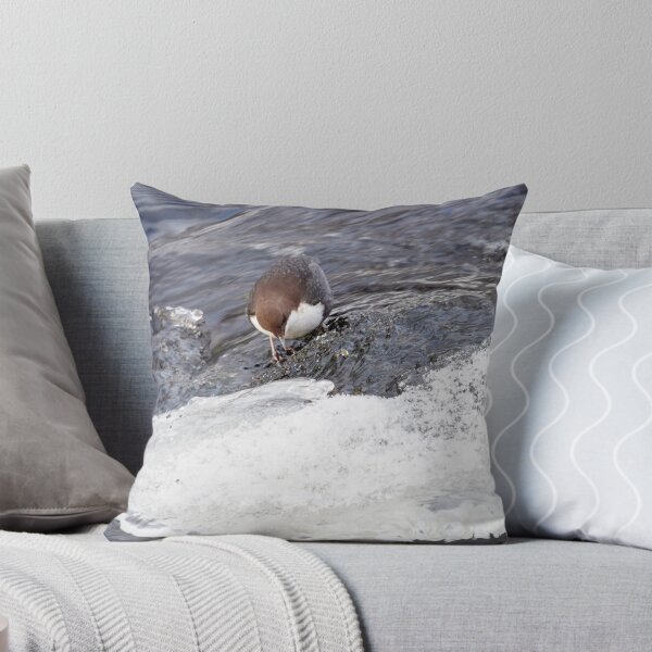 Item preview, A bit slippery. White-throated dipper designed and sold by Jouko Lehto Photography.