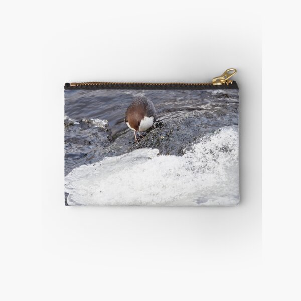 Item preview, A bit slippery. White-throated dipper designed and sold by Jouko Lehto Photography.