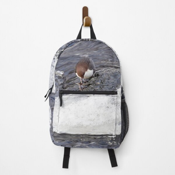 Item preview, A bit slippery. White-throated dipper designed and sold by Jouko Lehto Photography.