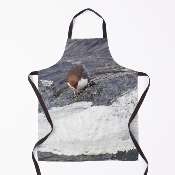 Item preview, A bit slippery. White-throated dipper designed and sold by Jouko Lehto Photography.