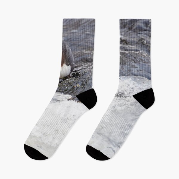 Item preview, A bit slippery. White-throated dipper designed and sold by Jouko Lehto Photography.